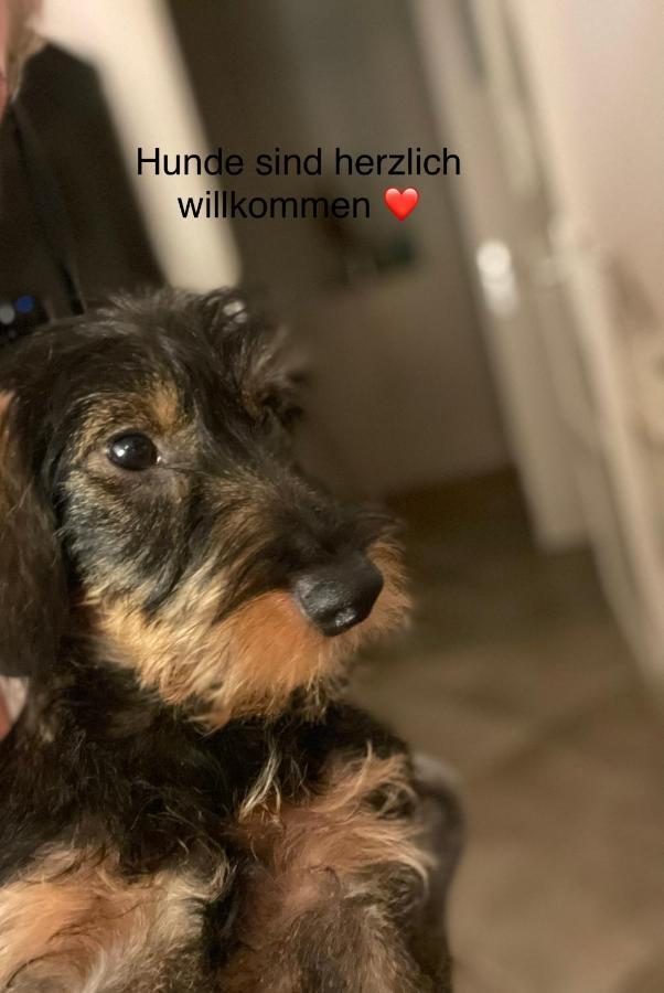 Strandapartment In Westerland Fuer 2-4 Personen Exteriör bild